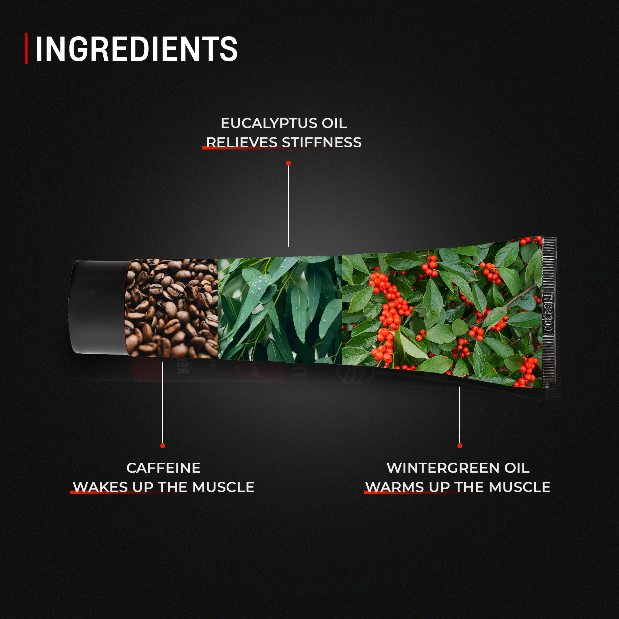 Gym Kit - 3 in 1 Combo